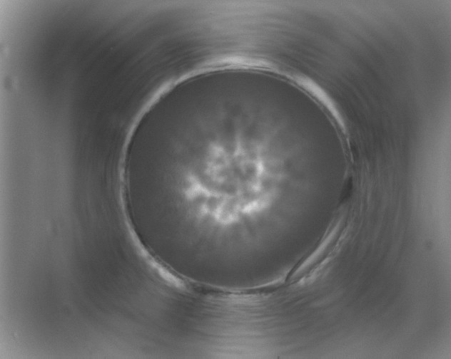 X0000070241381200606161834