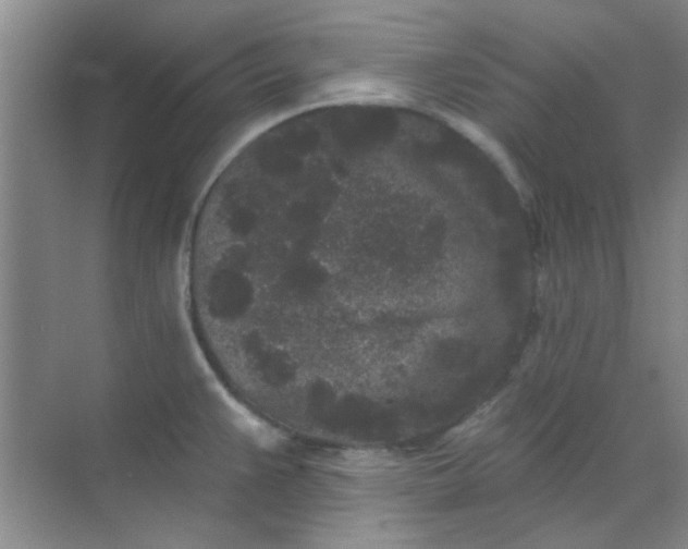 X0000070241383200606161834