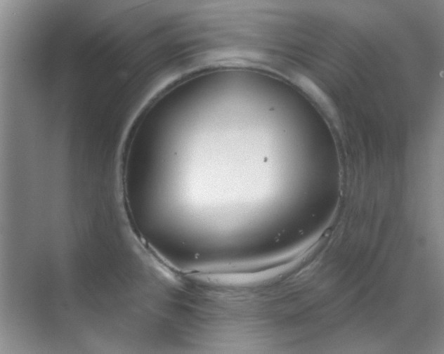 X0000070241384200606161834