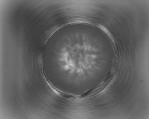 X0000070241385200606161834