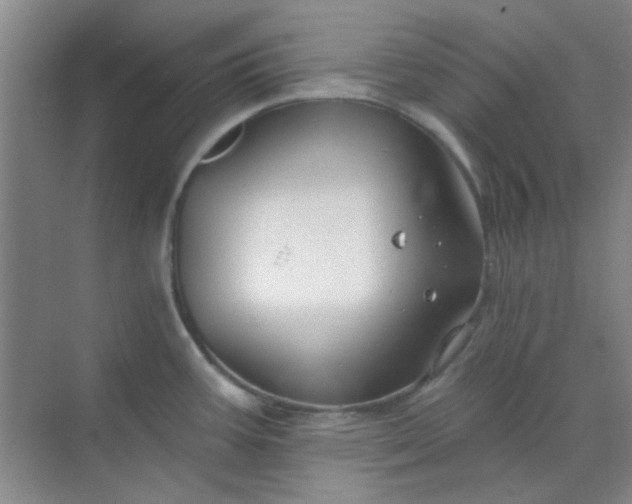 X0000070241387200606161834