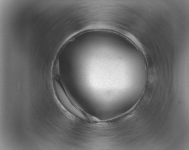 X0000070241388200606161834