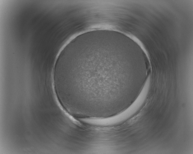 X0000070241389200606161834