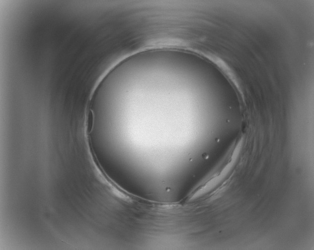 X0000070241390200606161834