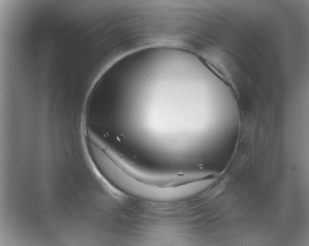 X0000070241391200606161834