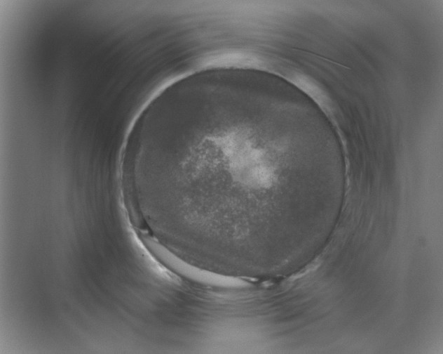 X0000070241392200606161834