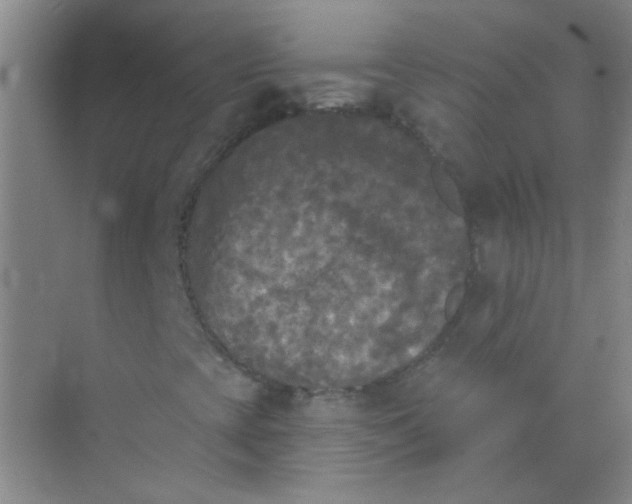 X0000070241393200606161833