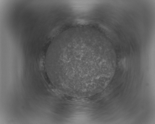 X0000070241397200606161833