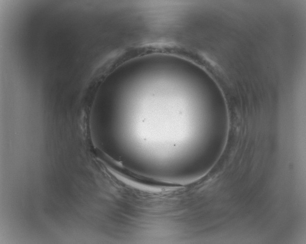 X0000070241398200606161833