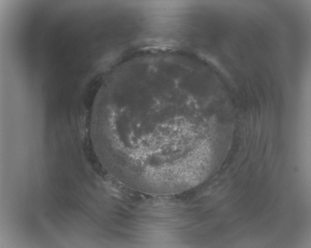 X0000070241399200606161833