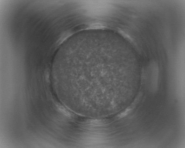 X0000070241401200606161834