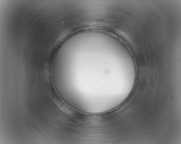 X0000070241403200606161834