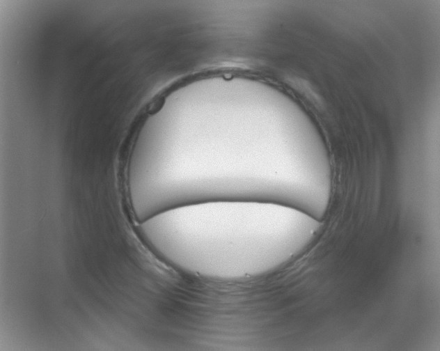 X0000070241404200606161834