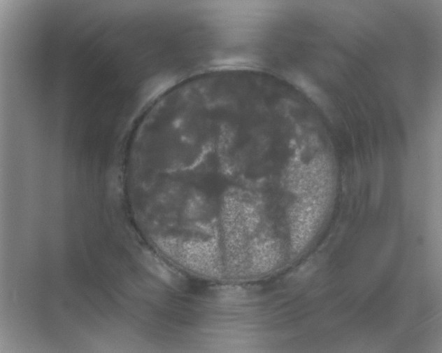 X0000070241405200606161834