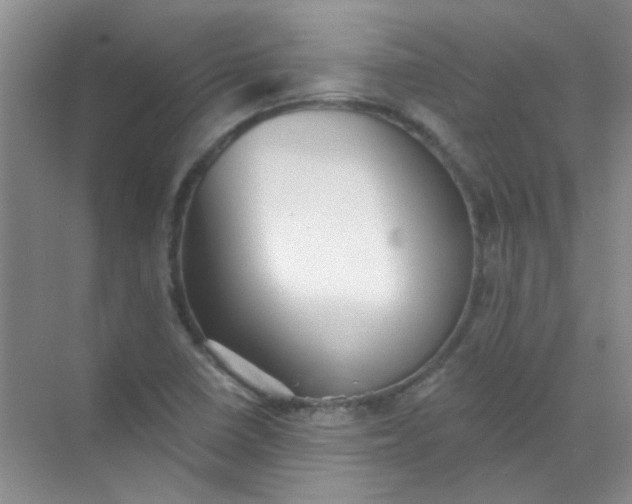 X0000070241410200606161834