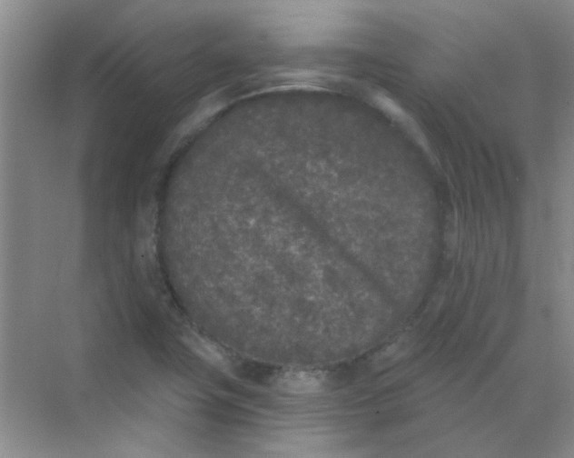 X0000070241411200606161834