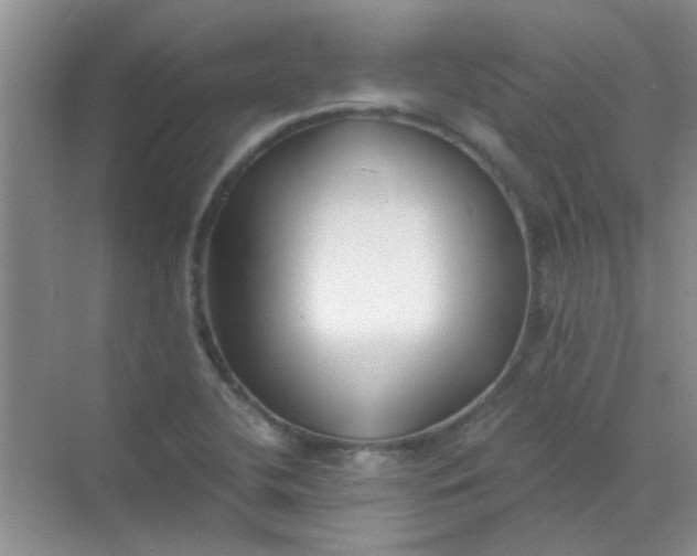 X0000070241412200606161834