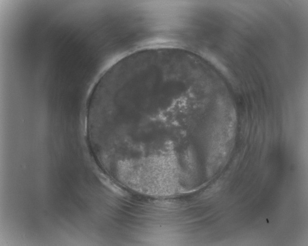 X0000070241413200606161834