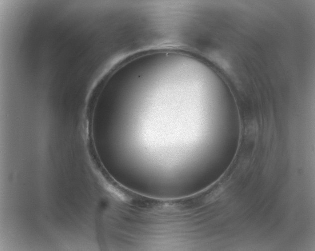 X0000070241414200606161834