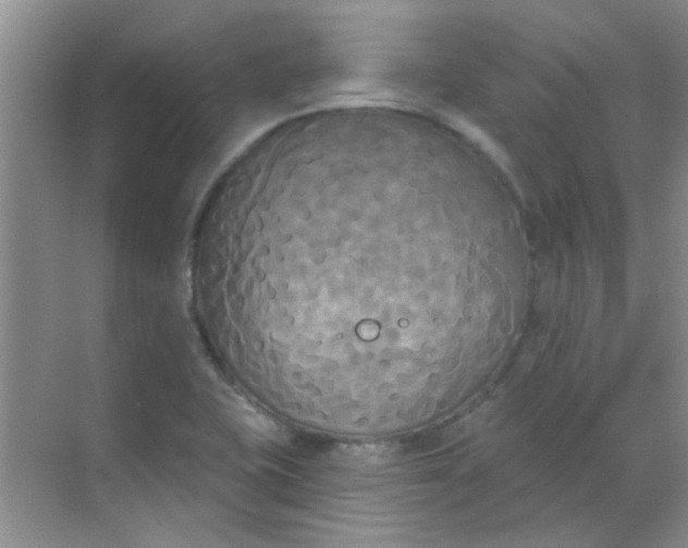 X0000070241415200606161834