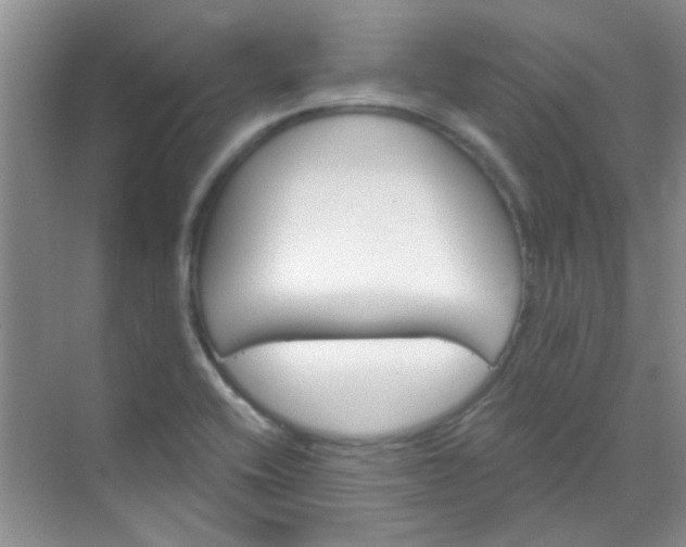 X0000070241416200606161834