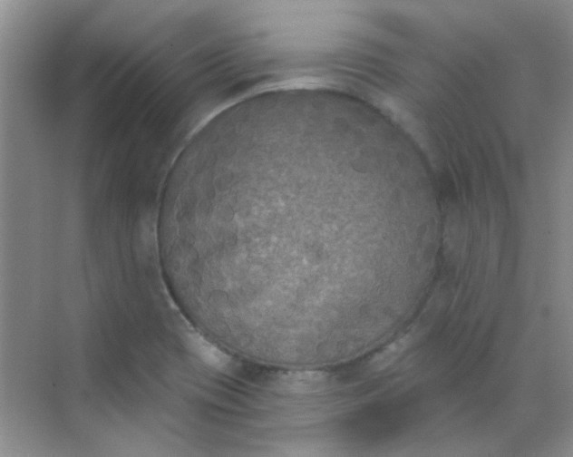 X0000070241417200606161834