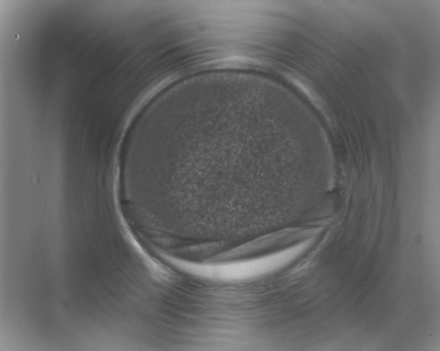 X0000070241418200606161834