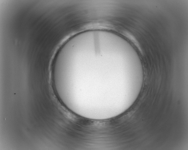 X0000070241419200606161834