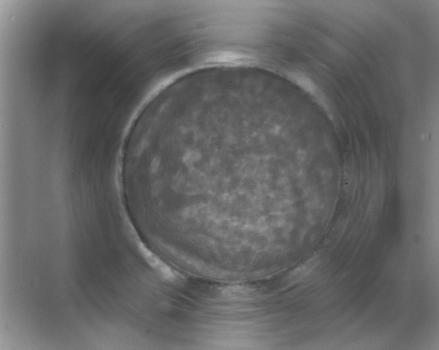 X0000070241421200606161834