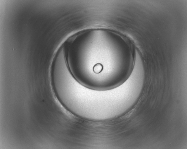 X0000070241422200606161834