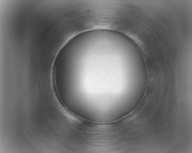 X0000070241423200606161834