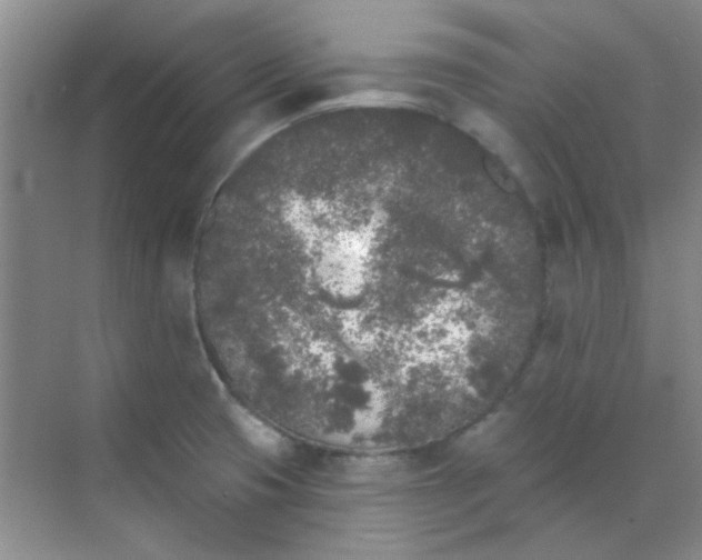 X0000070241425200606161834