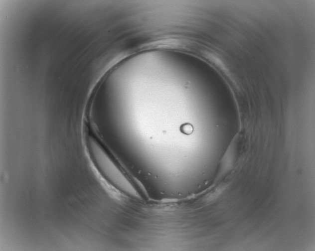 X0000070241426200606161834