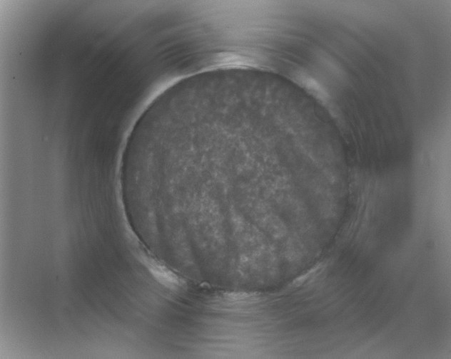 X0000070241427200606161834