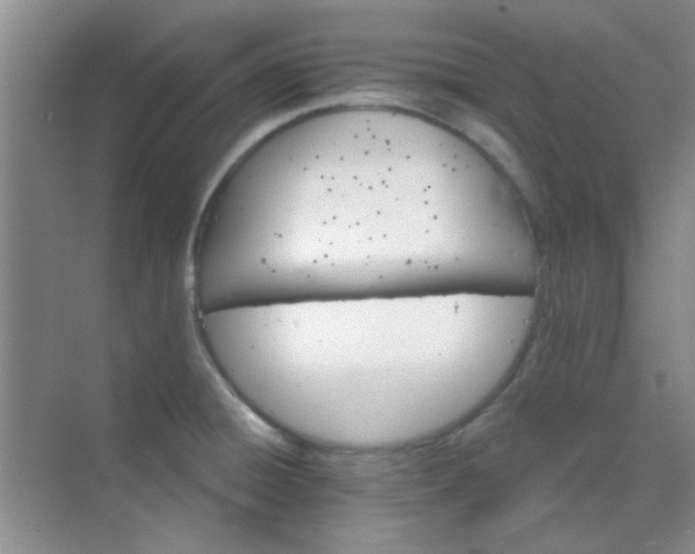 X0000070241428200606161834