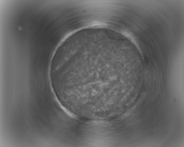 X0000070241429200606161834