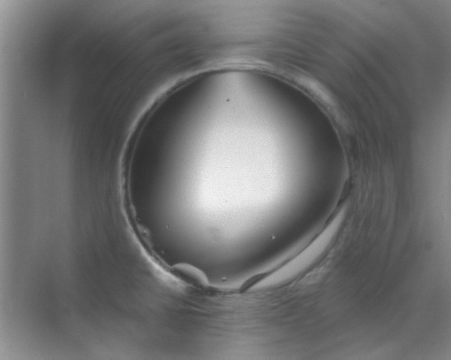 X0000070241430200606161834