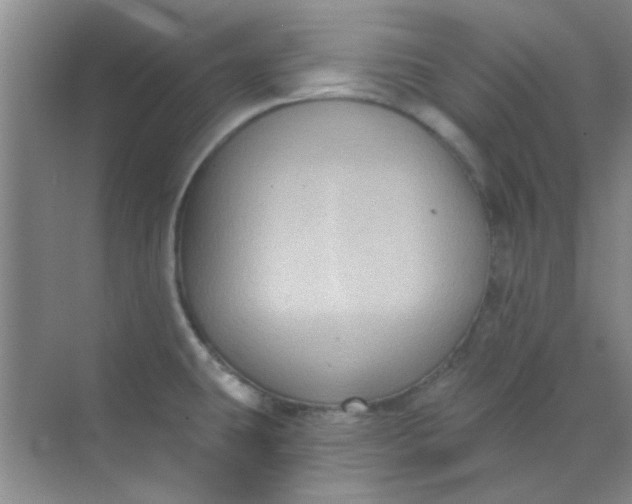 X0000070241431200606161834