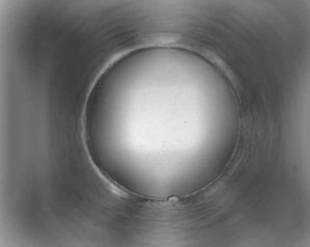 X0000070241432200606161834