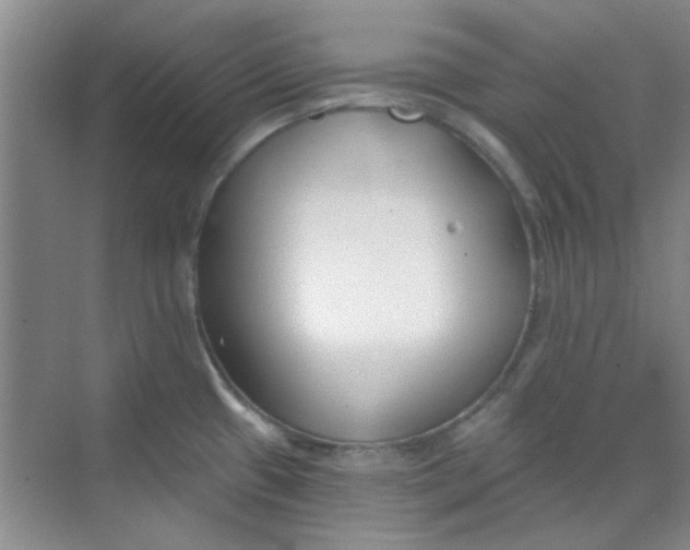 X0000070241433200606161834