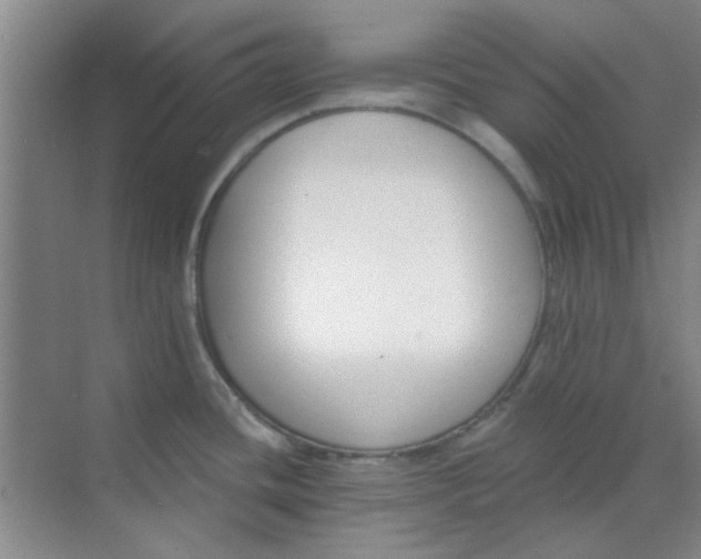 X0000070241436200606161834