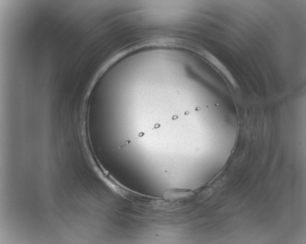 X0000070241437200606161834