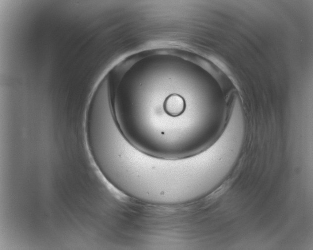 X0000070241438200606161834