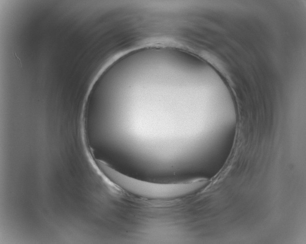 X0000070241440200606161834