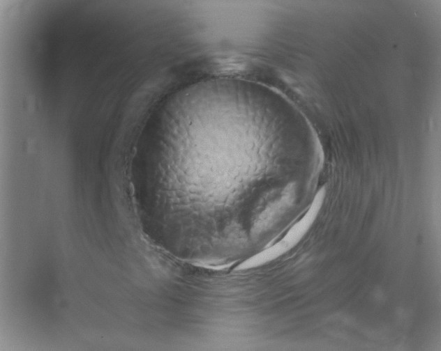 X0000070241441200606161833