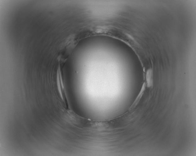 X0000070241443200606161833