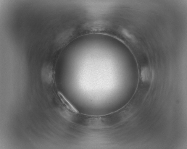 X0000070241444200606161833