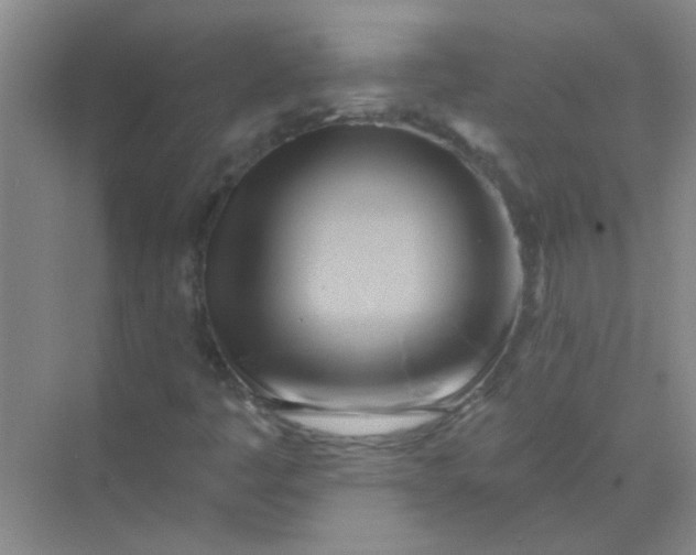 X0000070241445200606161833