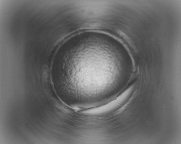 X0000070241449200606161833