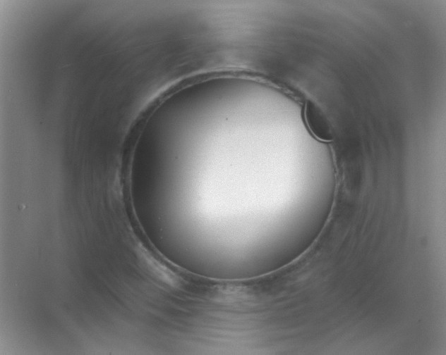 X0000070241452200606161833